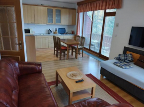Apartment with 2 rooms and kitchen Pension Kubu